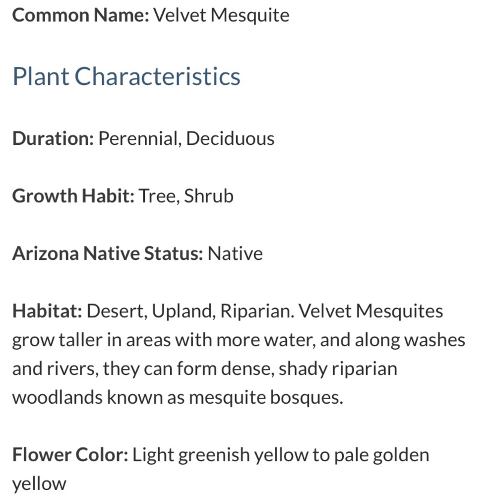 🩵🩶 Vintage turquoise stone sterling silver. #A313 - Picture 10 of 10